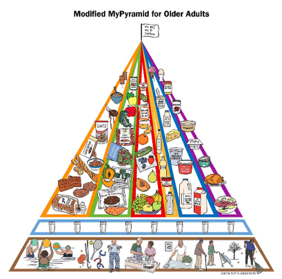 healthy food pyramid for adults. for Older Adults (1) is a